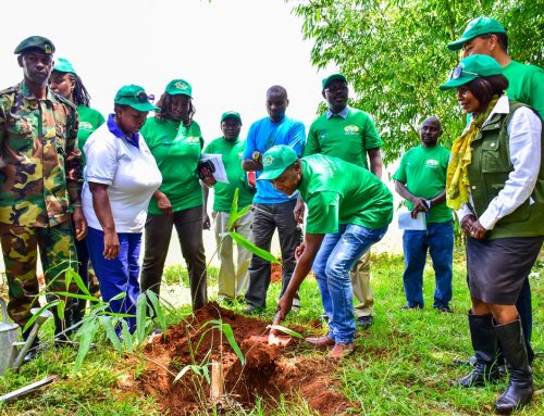 APC & BIDCO  HOST AFRICA BAMBOO PLANTING DAY