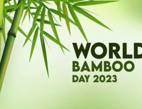 APC Managing Director , mr Kelvin Kaloki wishes you a happy World Bamboo Day 2023